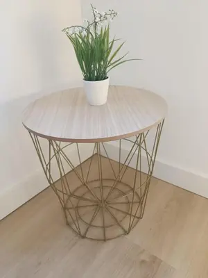 a table with a potted plant on top of it at Apartamentos Gabín in Montederramo