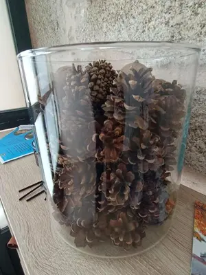a glass jar filled with pine cones and mushrooms at Apartamentos Gabín in Montederramo