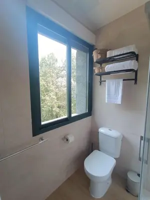 a bathroom with a toilet and a window at Apartamentos Gabín in Montederramo