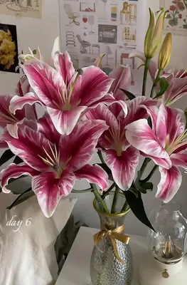 a vase filled with pink flowers on a table at habitación mestre 1 in Santiago de Compostela