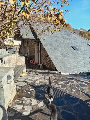 a cat is standing on a stone patio at Luna Creciente Casa Luna de La Viliella in La Viliella