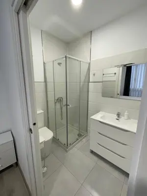 a bathroom with a shower and a toilet and a sink at Paseo Malecón Hab in Monforte de Lemos