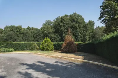 a driveway with two trees and a hedge at Motel Venecia in Taboadela