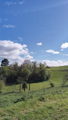a field with green grass and trees in a field at Hotel Rural El Nuevo Semellon Aceptamos Mascotas in La Llama