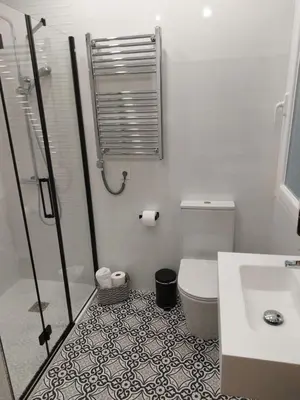 a bathroom with a shower and a toilet and a sink at Apartamento Puerta de San Fernando in Lugo