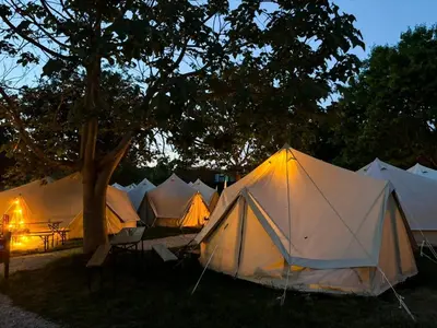 a group of tents sitting under a tree at night at O Pedrouzo Pilgrim Camp in O Pedrouzo