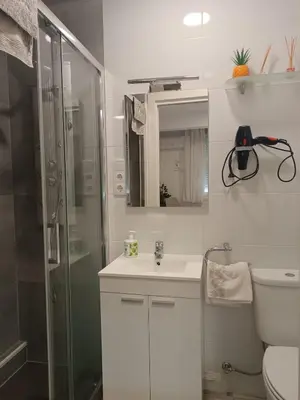 a bathroom with a shower and a sink and a toilet at Apartamento Camiño Real 2 - A Casa de María 2ª Planta in Sigüeiro
