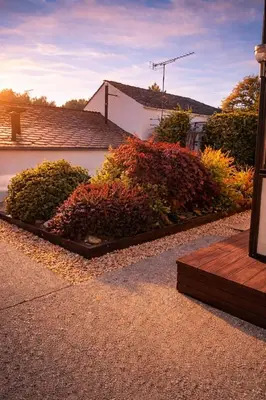 a garden with bushes in front of a house at Miraz Albergue O Abrigo