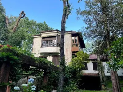 an old house in the middle of a tree at Spacious Villa with Pool in Cabeanca 250 m² in Ourense