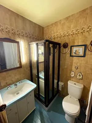 a bathroom with a shower and a toilet and a sink at Spacious Villa with Pool in Cabeanca 250 m² in Ourense