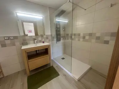 a bathroom with a sink and a glass shower at A Casa do Veterinario 1 in Boqueijón