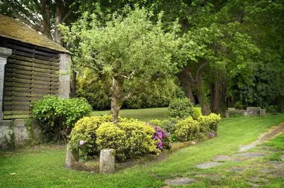 a garden with a tree and flowers in the grass at Casa de Arias in Parga