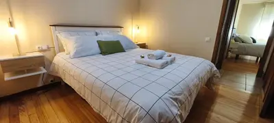 a bedroom with a large bed with two stuffed animals on it at Piso muy luminoso y céntrico 1D in Santiago de Compostela