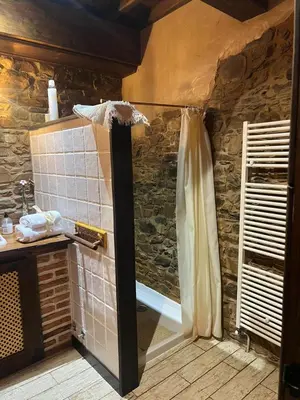 a bathroom with a shower in a stone wall at Casa Rural Dorinda in Campelo
