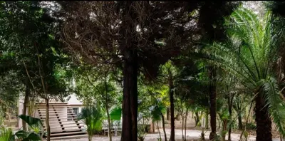 a group of trees in front of a building at Oasis Ponte San Lázaro in Santiago de Compostela