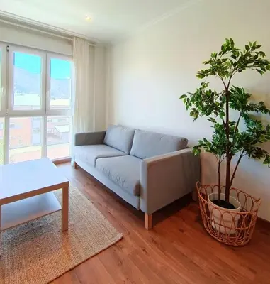 a living room with a couch and a potted plant at Alojamiento con vistas ría de Viveiro-Misericordia in Viveiro