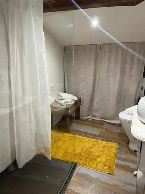 a bathroom with a glass shower and a toilet at Acogedor apartamento del Casco Antiguo de Ourense in Ourense