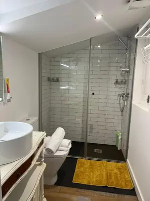 a bathroom with a shower and a sink and a toilet at Acogedor apartamento del Casco Antiguo de Ourense in Ourense