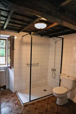 a bathroom with a shower and a toilet at Casa do Botas in Sober