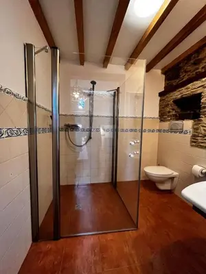 a bathroom with a shower and a toilet at A Maquía de Medín in O Pino