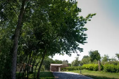 a tree lined road with a small building in the distance at A Maquía de Medín in O Pino
