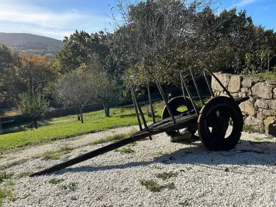 an old wagon with a tree on it in a field at Casal Rural Val Fresco - Casa Hórreo in Curantes