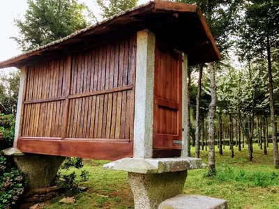 a bird house sitting on top of a stump at Casa Garea in Arzúa