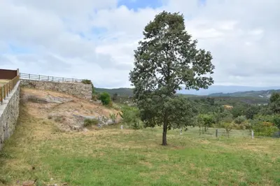 a tree in a field next to a wall at Casa Requias in Requiás