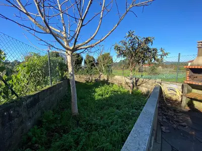 a fence and a tree in a yard at Casa Rosiña in Campo Lameiro