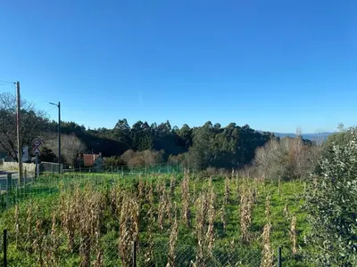 a field of grass with trees in the background at Casa Rosiña in Campo Lameiro