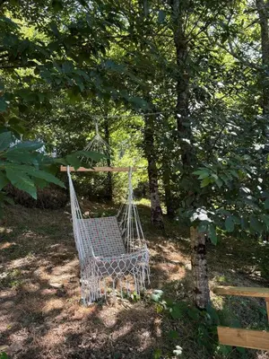 a swinging chair in a yard with trees at Vivienda turística en plena naturaleza O Poleiro