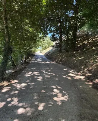 a road with trees on either side of it at Vivienda turística en plena naturaleza O Poleiro