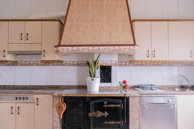 a kitchen with an oven with a plant on it at The Dragon's Lair in Piñeiro