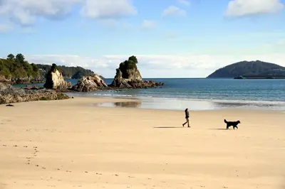 a man and a dog walking on a beach at Winahost Ático Viveiro in Viveiro