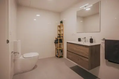 a bathroom with a toilet and a sink and a mirror at Casas del Pedregal Apartamento 1 in A Estrada