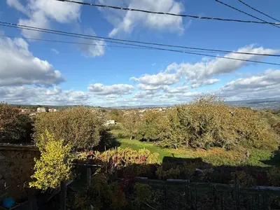 a view of a garden with trees and bushes at YourHouse Casa Antonio in Amoeiro