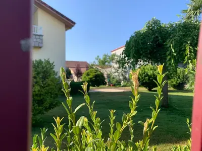 a view of a yard with a house at Lar do Pero - Ribeira Sacra