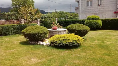 a garden with a small table in the grass at Lar do Pero - Ribeira Sacra