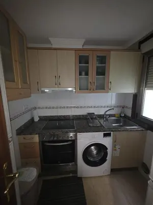 a kitchen with a washing machine and a sink at Apartamentos Camino Inglés 3 in O Mesón Do Vento