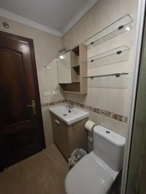 a bathroom with a toilet and a sink at Apartamentos Camino Inglés 3 in O Mesón Do Vento