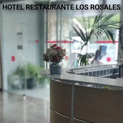 a counter with a vase of flowers on it at Hostal los Rosales in Almázcara