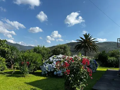 a garden with a bunch of flowers in the grass at Casa Conchas in O Valadouro