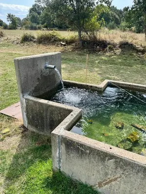 a concrete tub filled with water in a field at Casa Rural Ucedo in Ucedo