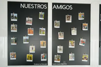 a display case with pictures on a wall at Apartamentos Campus Arzúa in Arzúa