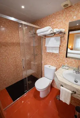 a bathroom with a toilet and a shower and a sink at hostal Saint James Way in Cacabelos