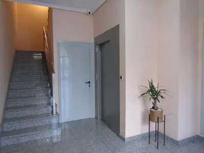 a hallway with a door and a potted plant at Atico centrico Lela Lemos-3 habitaciones y 3 baños in Monforte de Lemos