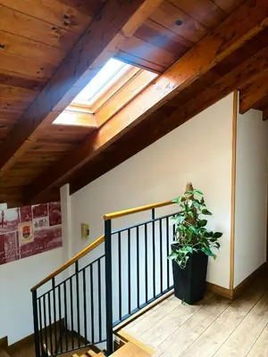 a skylight in a ceiling with a potted plant at Hotel Molina Real in Molinaseca