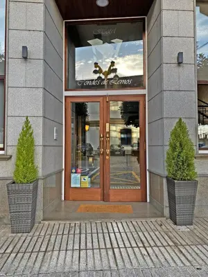 a front door of a building with two potted trees in front at Hotel Condes De Lemos España in Monforte de Lemos