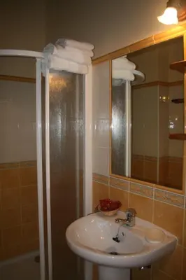a bathroom with a sink and a shower at Apartamentos Rurales El Palacio de Doiras in Boal