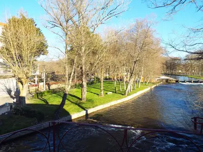 a view of a river with trees and a bridge at Hotel Ansuiña in Baños de Molgas